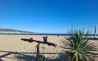 Winterfokus statt Sommertrubel: Marketing mit Herz, Atem und innerer Führung